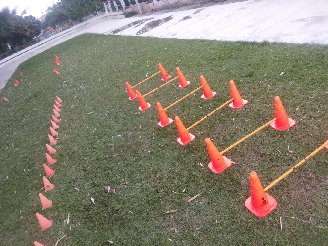 Mini Pista de Patinaje