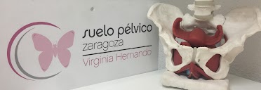 GABINETE FISIOTERAPIA VIRGINIA HERNANDO ABÓS.REEDUCACIÓN DE SUELO PÉLVICO en Zaragoza