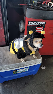 Rivera's Tires - Photo 6 - Car repair in Palmdale, CA, Palmdale