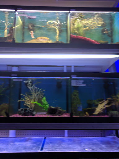 Pet Store «Aquarium Designs», reviews and photos, 15229 San Pedro Ave, San Antonio, TX 78232, USA