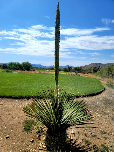 Golf Club «We-Ko-Pa Golf Club», reviews and photos, 18200 E Toh Vee Cir, Fort McDowell, AZ 85264, USA
