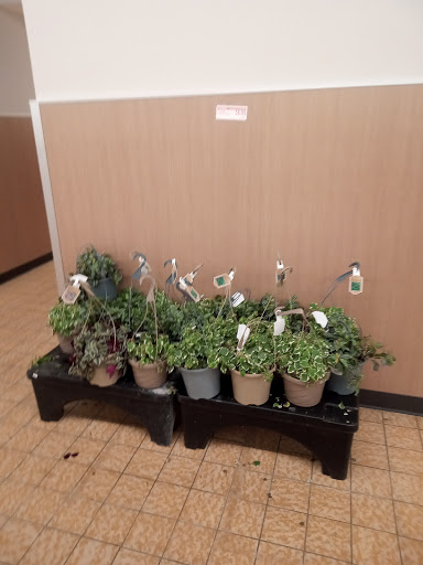 Supermarket «ALDI», reviews and photos, 16971 Clover Rd, Noblesville, IN 46060, USA