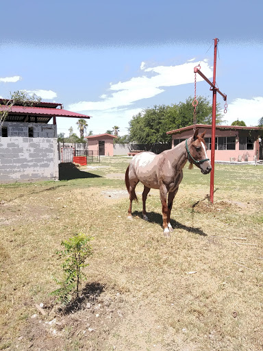 Home Improvement Store «Tractor Supply Co.», reviews and photos, 550 I-35, Pearsall, TX 78061, USA