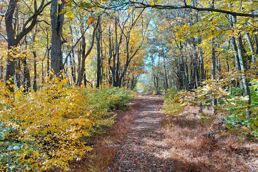 Nature Preserve «Eidolon Nature Preserve», reviews and photos, 2146 Orleans Rd, Great Cacapon, WV 25422, USA