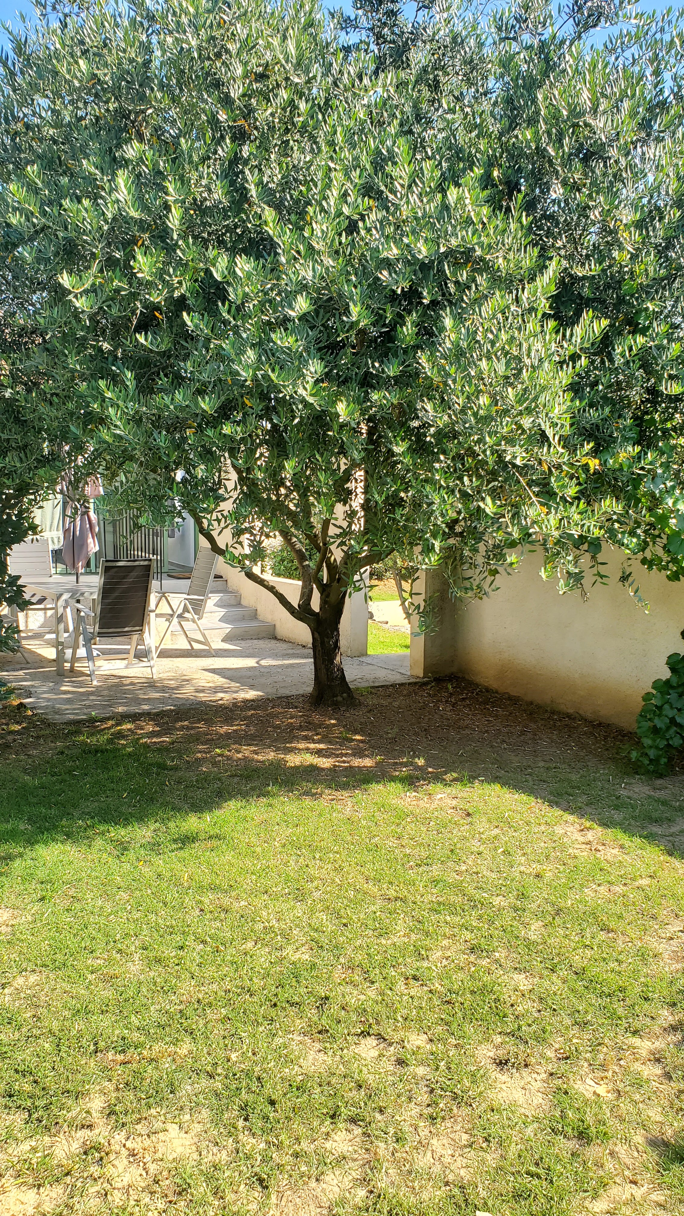 Photo n° 2 de l'avis de Tocanier.a fait le 15/07/2023 à 12:06