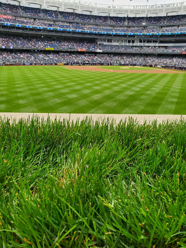 Stadium «Yankee Stadium», reviews and photos, 1 E 161st St, Bronx, NY 10451, USA