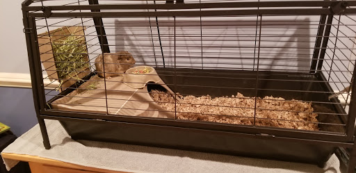 Pet Supply Store «PetSmart», reviews and photos, 2000 Clements Bridge Rd, Woodbury, NJ 08096, USA