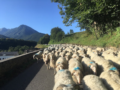 Ferme Som à Asson