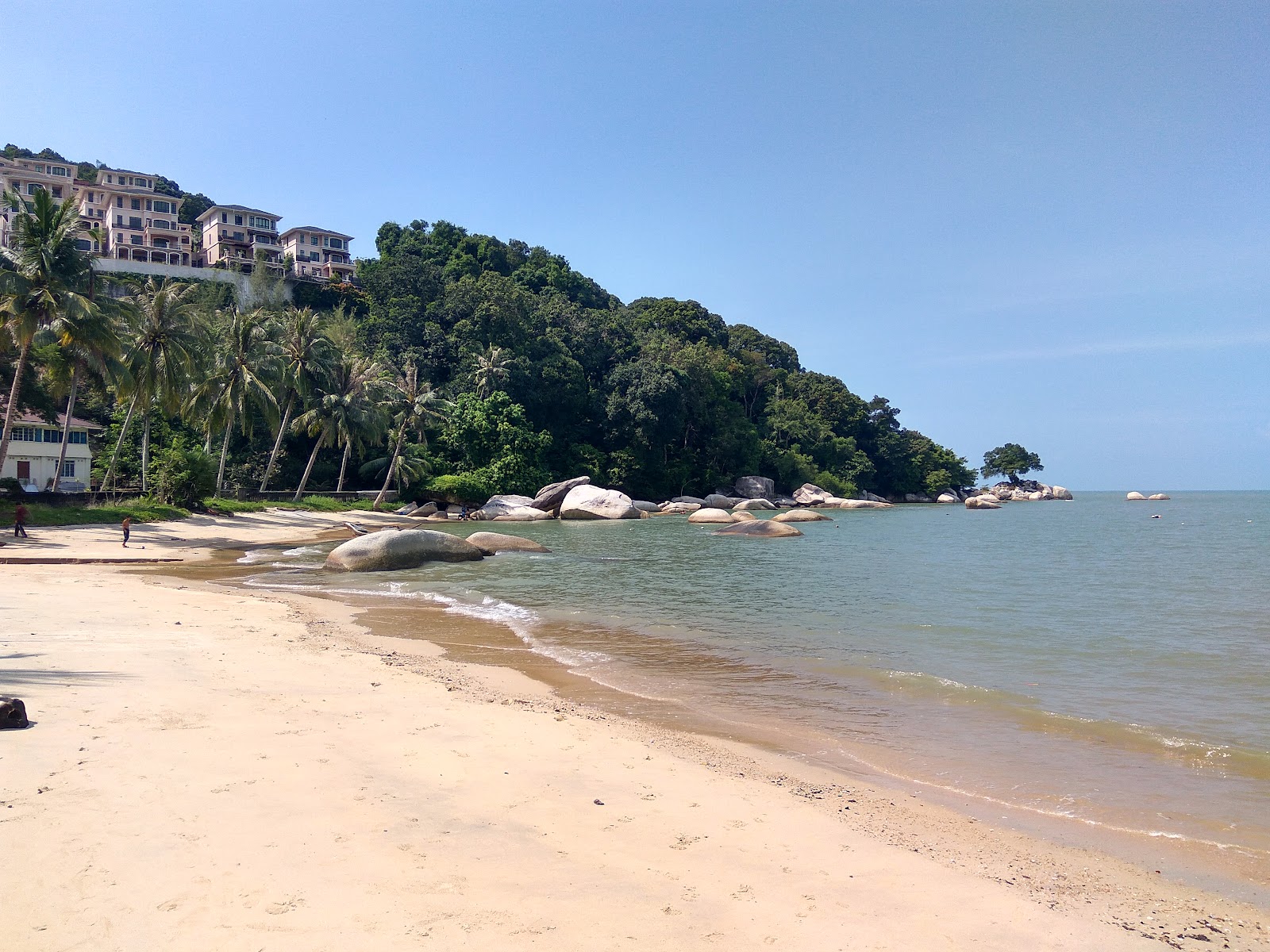 Photo de Tanjung Bungah Beach avec droit et long