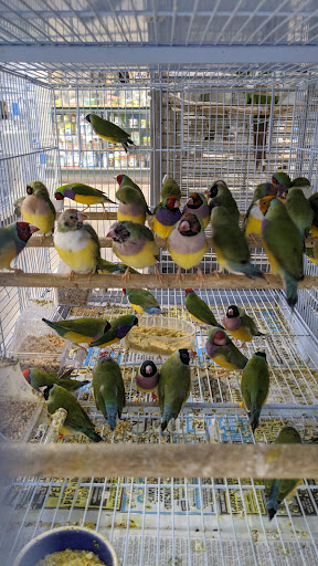 Pet Supply Store «Neighborhood Pet Shop», reviews and photos, 574 Hialeah Dr, Hialeah, FL 33010, USA