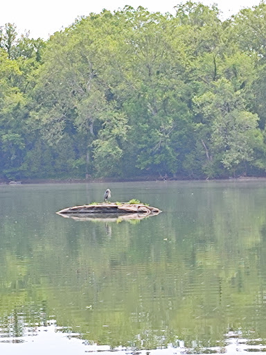 National Park «Great Falls Park, Virginia», reviews and photos, 9200 Old Dominion Dr, McLean, VA 22102, USA