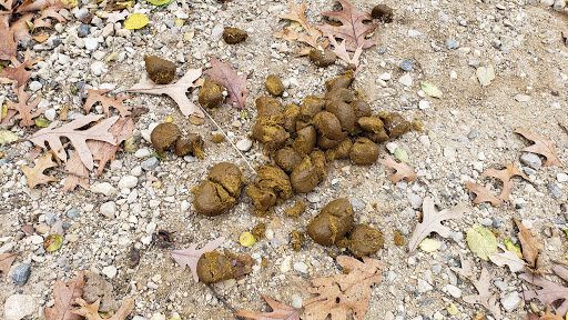 Nature Preserve «Lakewood Forest Preserve», reviews and photos, 27277 N Forest Preserve Rd, Wauconda, IL 60084, USA