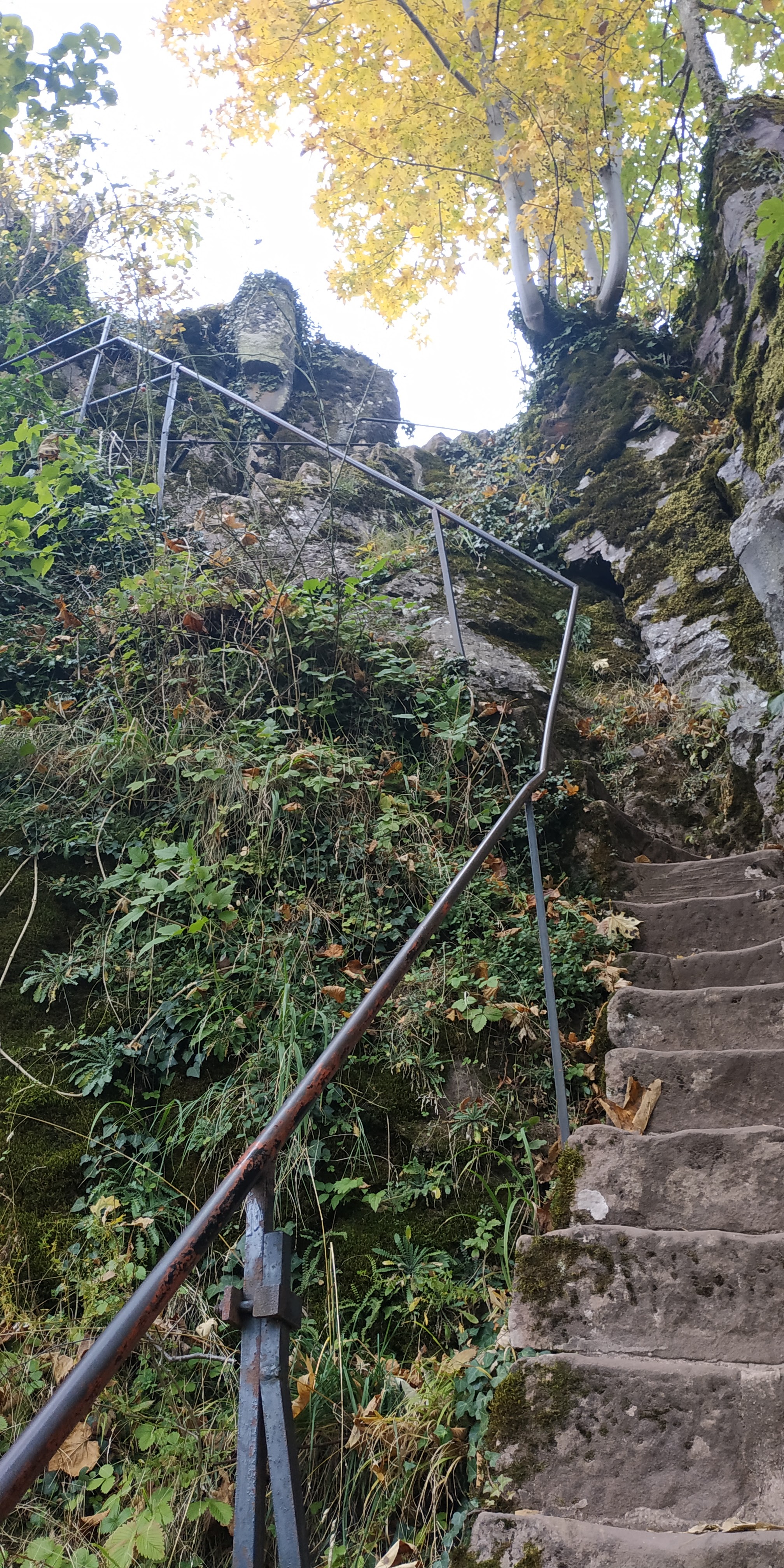 Photo n° 18 de l'avis de Sorti.u fait le 18/10/2021 à 08:32