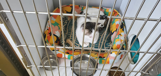 Pet Supply Store «Pet Supplies Plus», reviews and photos, 299 Roosevelt Rd, Glen Ellyn, IL 60137, USA