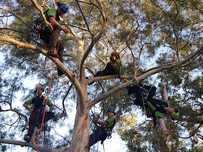 Melbourne Tree Care