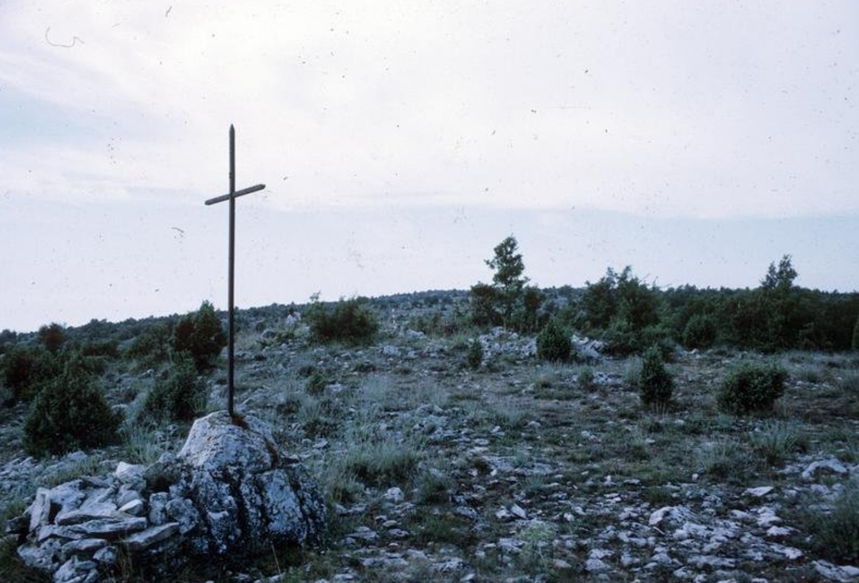 Photo n° 2 de l'avis de Ninou.e fait le 07/05/2021 à 17:21