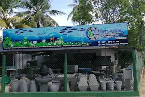 Blue Water Aquarium image