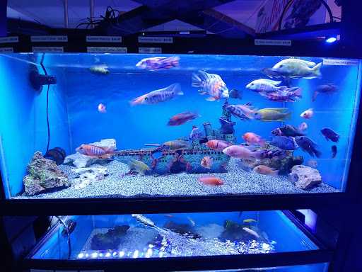 Pet Store «Exotic Fish & Pets», reviews and photos, 3272 N 5th Street Hwy, Reading, PA 19605, USA