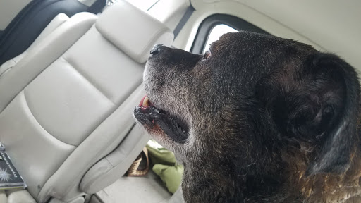 Pet Supply Store «EarthWise Pet Supply», reviews and photos, 11328 Montgomery Rd, Cincinnati, OH 45249, USA