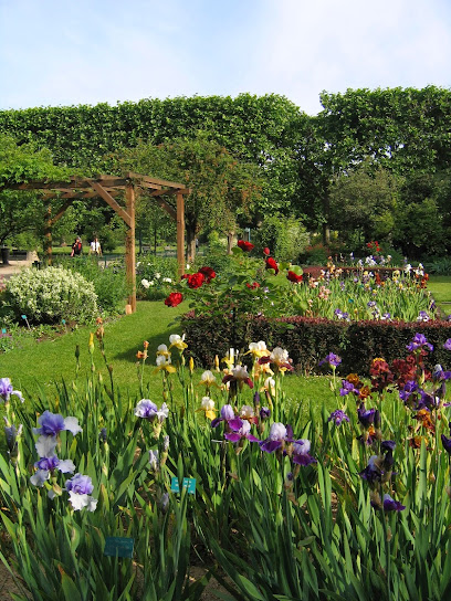 Jardin d'iris et de plantes vivaces
