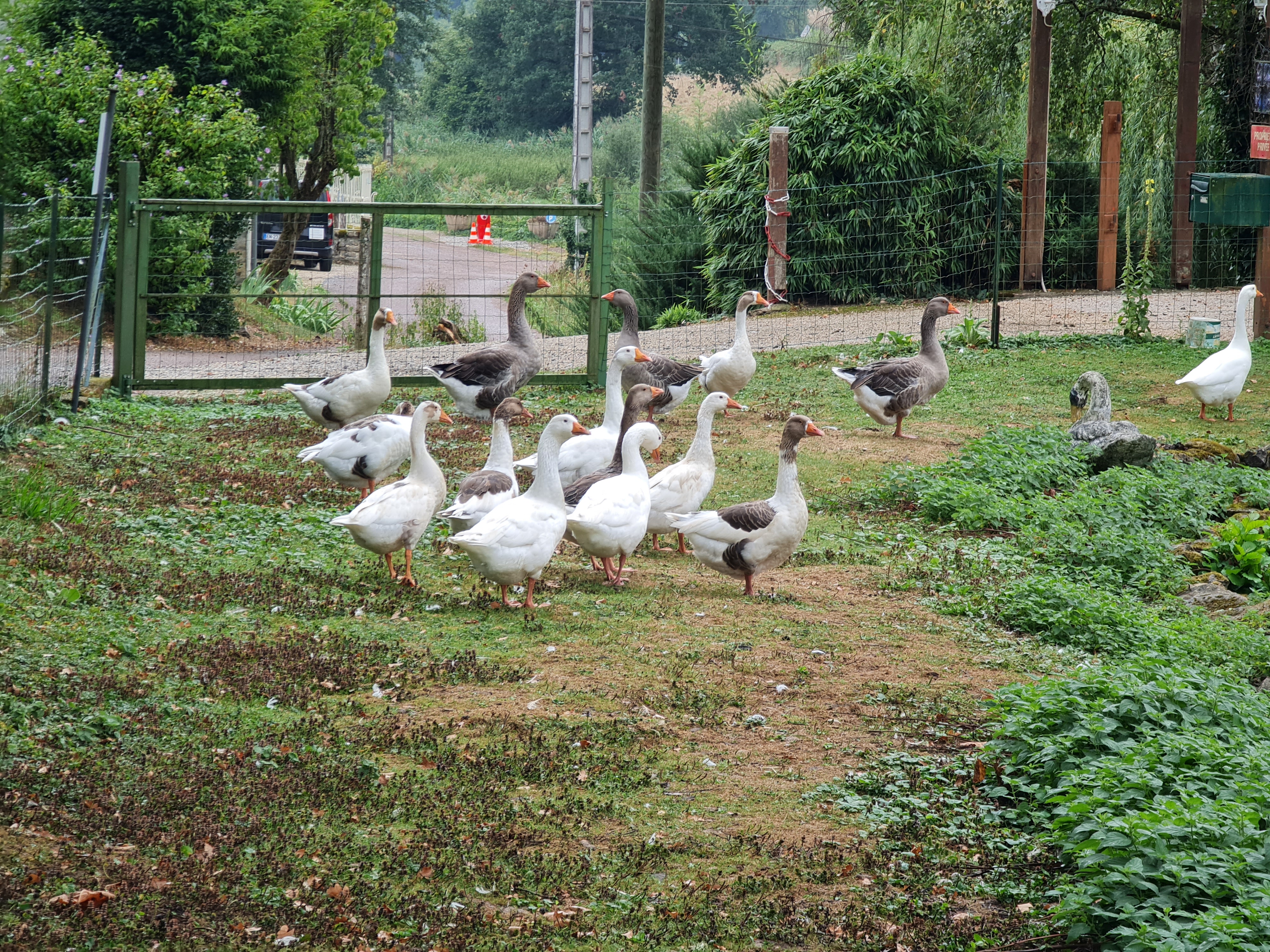 Photo n° 6 de l'avis de Jean-Daniel.� fait le 31/08/2022 à 21:44