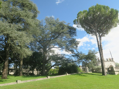 Élagueur - paysagiste Drôme Ardèche à Valence
