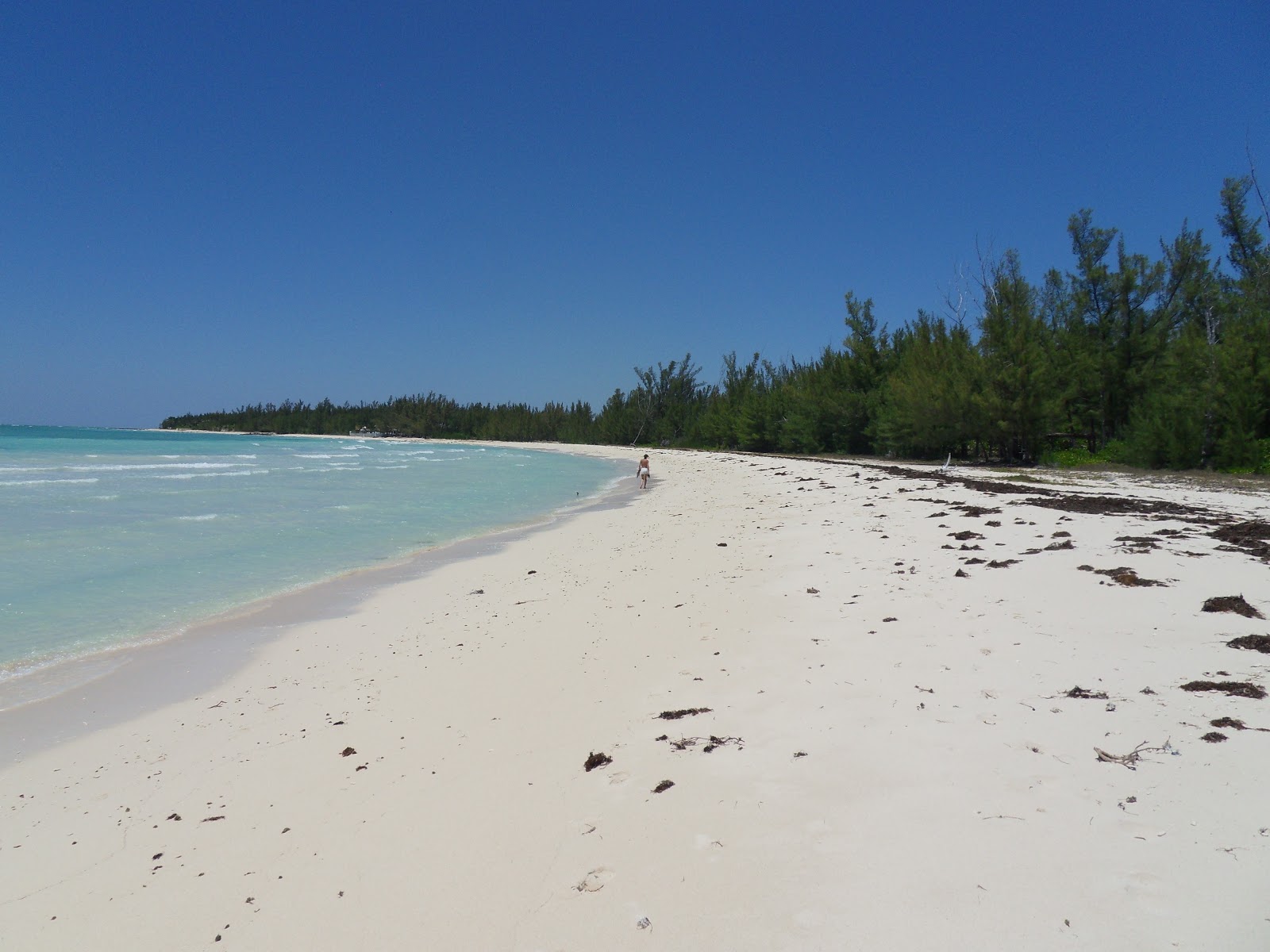 Photo de Xanadu beach avec un niveau de propreté de partiellement propre