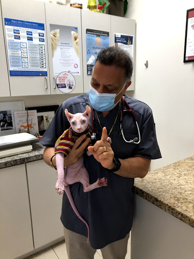 Arc Animal Hospital image
