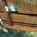 Photo n°4 de l'avis de Andromeda.e fait le 20/06/2020 à 14:10 sur le  Ristorante Acquarella à Trevignano Romano