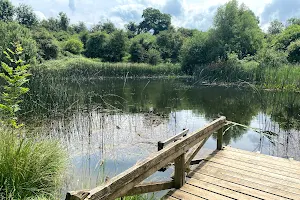 Hinksey Heights Nature Park image