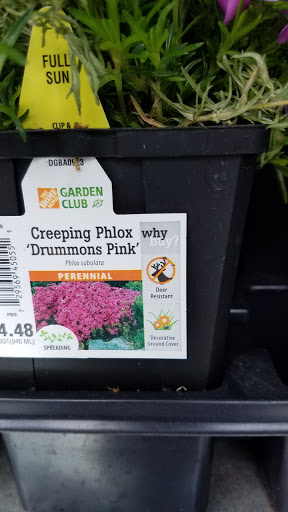 Home Improvement Store «The Home Depot», reviews and photos, 400 N Highland Ave, Pittsburgh, PA 15206, USA