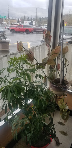 Shopping Mall «Oregon City Shopping Center», reviews and photos, I-205, Oregon City, OR 97045, USA