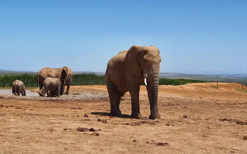 Addo Elephant National Park - South Gate - Mathyolweni Gate image