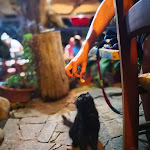 Photo n°2 de l'avis de Leonardo.e fait le 12/08/2018 à 21:04 sur le  Su Meriacru | Cucina Identitaria à Siniscola