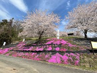 しらゆり公園