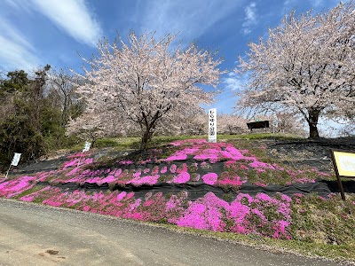 しらゆり公園