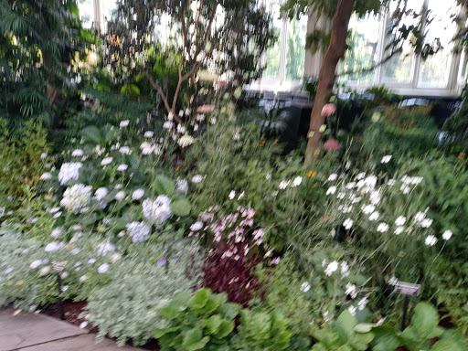 Park «Christopher Morley Park», reviews and photos, 500 Searingtown Rd N, Roslyn, NY 11576, USA