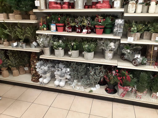 Home Goods Store «Christmas Tree Shops», reviews and photos, 17151 Cole Rd, Hagerstown, MD 21740, USA