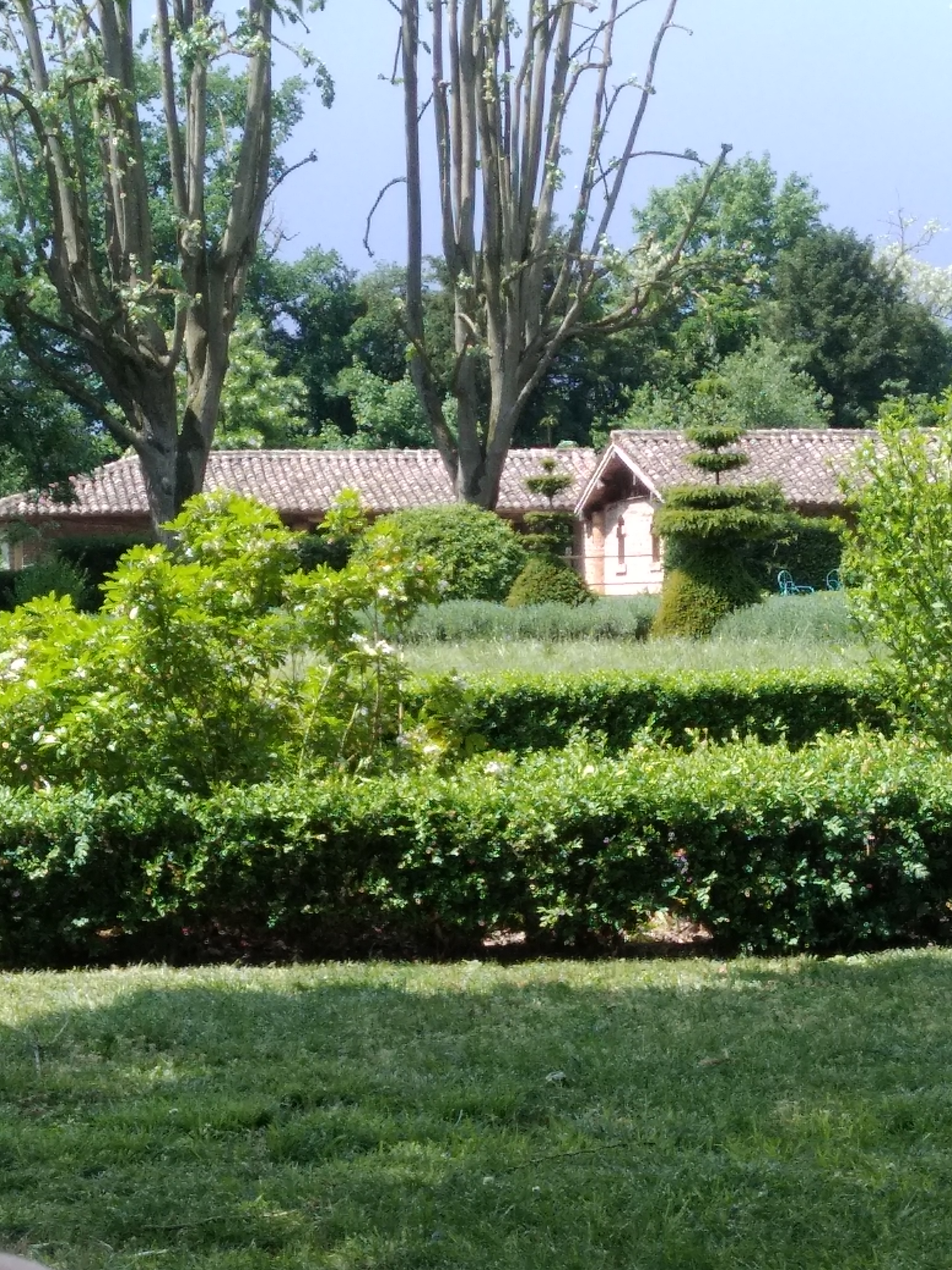 Photo n° 6 de l'avis de Rafaël. fait le 08/05/2018 à 11:48