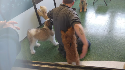 Pet Supply Store «Petco Animal Supplies», reviews and photos, 7040 Valley Creek Plaza, Woodbury, MN 55125, USA