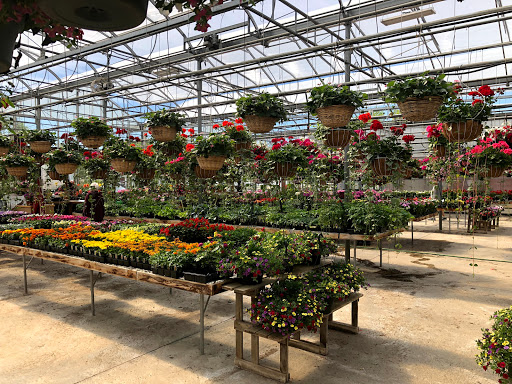 Produce Market «Dzen Garden Market», reviews and photos, 187 Windsorville Rd, Ellington, CT 06029, USA