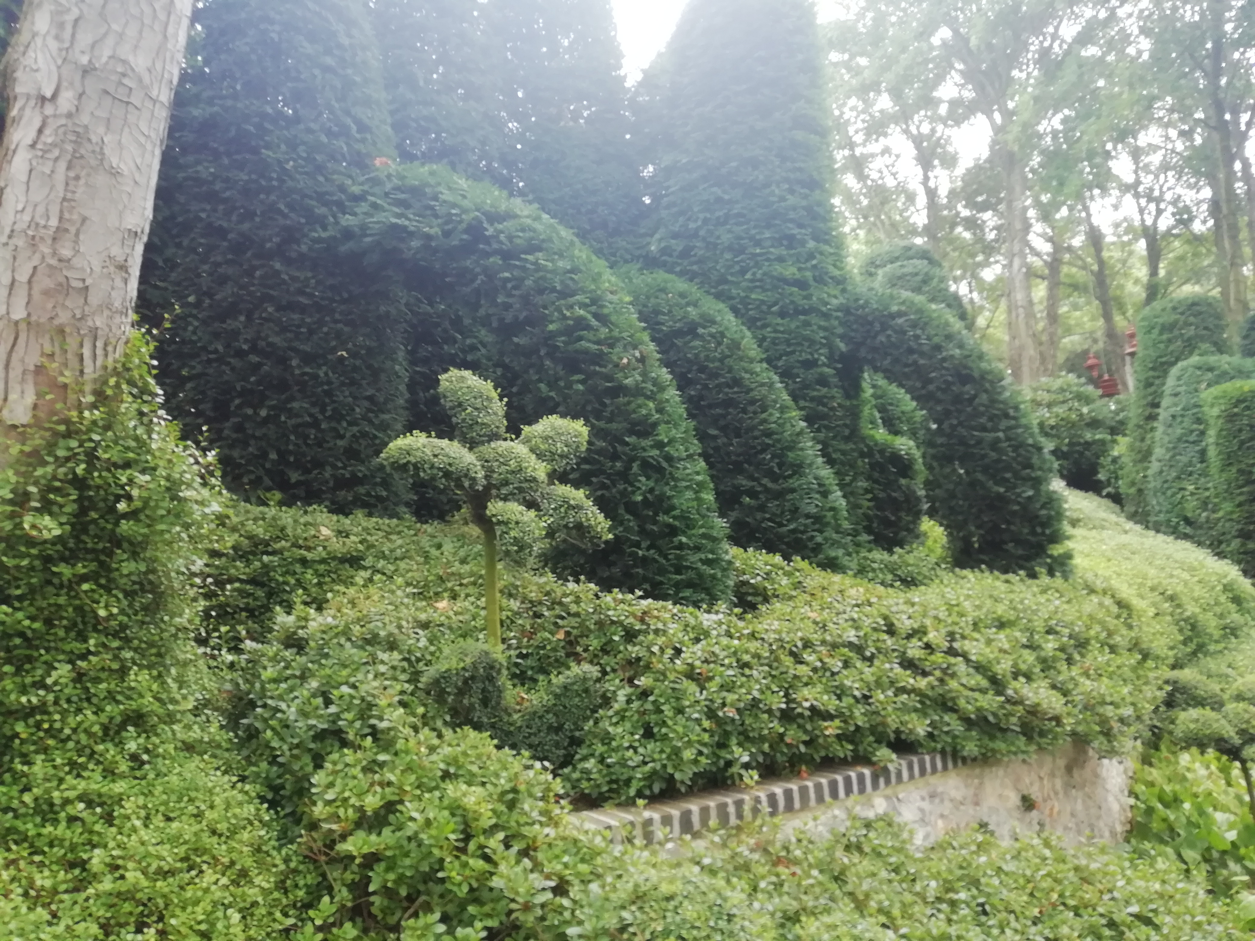 Photo n° 16 de l'avis de Christine.a fait le 18/07/2019 à 10:42
