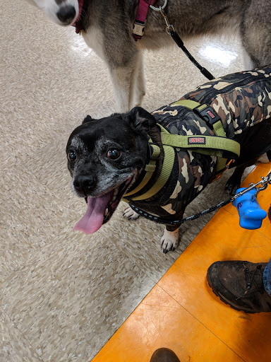 Pet Supply Store «PetSmart», reviews and photos, 316 NE 78th St, Vancouver, WA 98665, USA