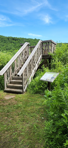 Nature Preserve «Macricostas Preserve», reviews and photos, 121 Christian St, New Preston, CT 06777, USA