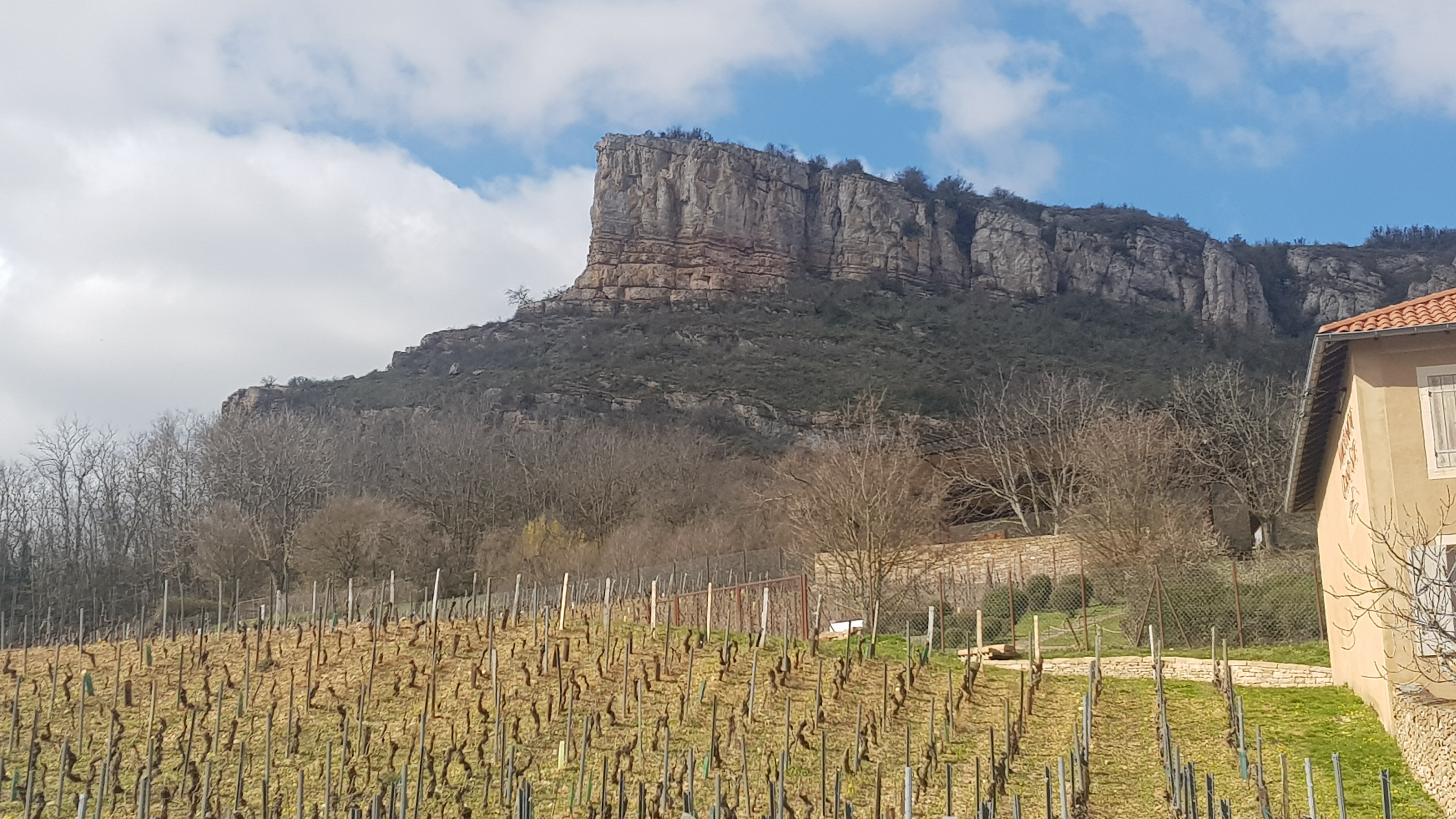 Photo n° 2 de l'avis de Izaora.a fait le 14/03/2020 à 16:54