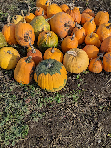 Railroad Company «Flower Farmer», reviews and photos, 2512 N Holly St, Canby, OR 97013, USA