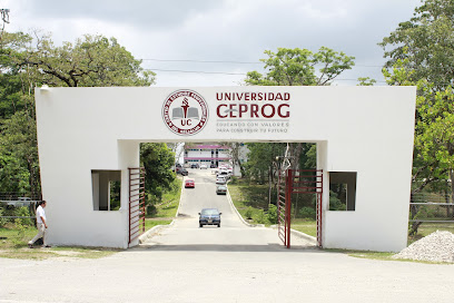 Universidad CEPROG