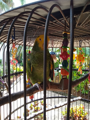 Cafe «Sanibel Bean», reviews and photos, 2240 Periwinkle Way, Sanibel, FL 33957, USA