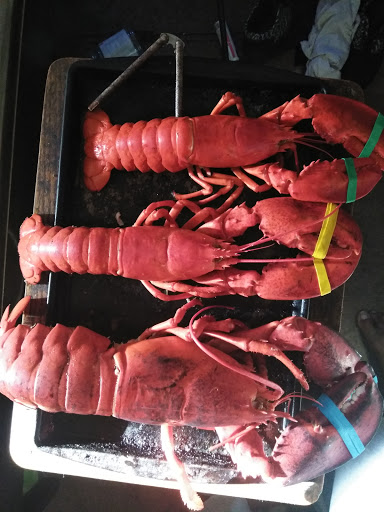 Tropical Fish Store «Aquastetics», reviews and photos, 354 E Main St, Fall River, MA 02724, USA