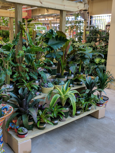 Hardware Store «Orchard Supply Hardware», reviews and photos, 2322 N University Dr, Coral Springs, FL 33065, USA